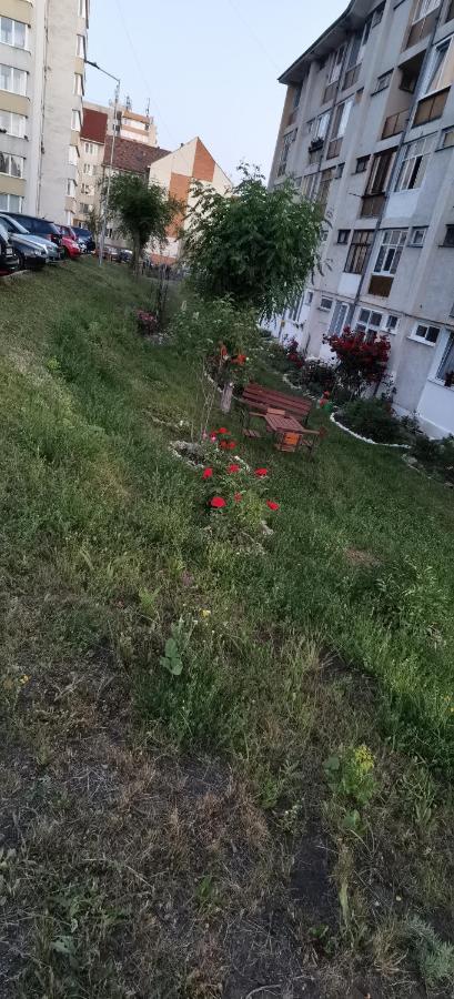 Focus Lux Διαμέρισμα Miercurea Ciuc Εξωτερικό φωτογραφία